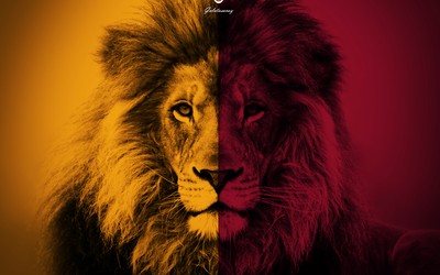 环亚体育精华-伊朗篮球联赛爆发赌球丑闻